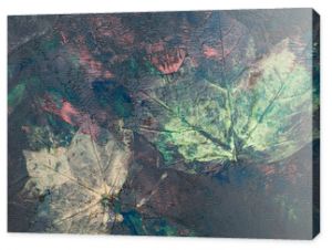Zatopione liście klonu w farbie w namalowanym wielokolorowym abstrakcyjnym tle struktury