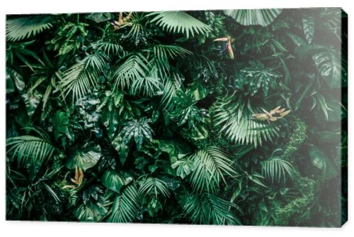 Tropical leaves as nature and environmental background, botanical garden and floral backdrop, plant growth and landscape design