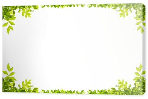 leaves frame isolated on white background