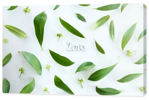 Green leaves and love symbol