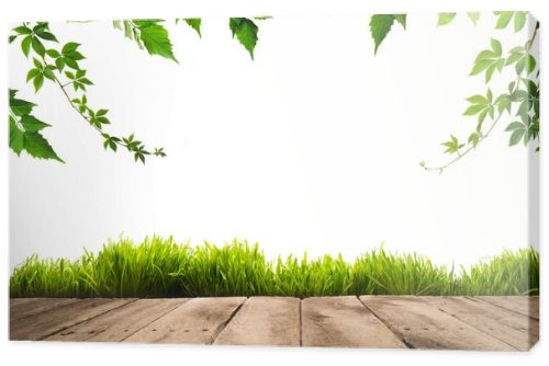 green leaves, sward and wooden planks