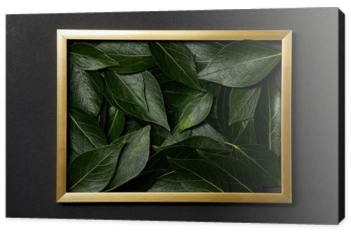 top view of golden frame with green leaves inside on black background