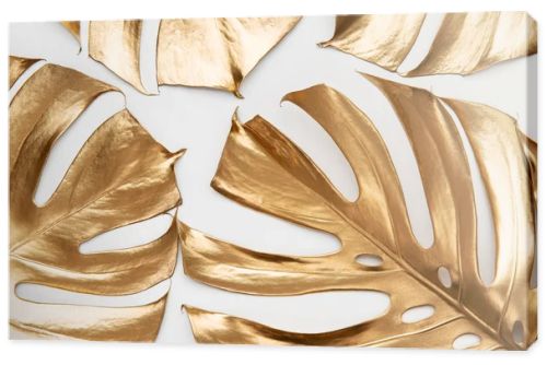 Artistic arrangement of real monstera leaves painted with gold paint on white background. Creative tropical pattern. Luxury summer concept.