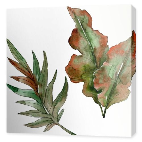Exotic tropical green palm leaves. Watercolor illustration set. 