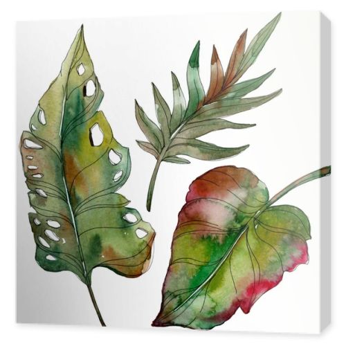 Exotic tropical isolated green palm leaves. Watercolor illustration set. 
