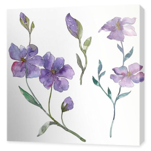 Blue and purple flax floral botanical flower. Wild spring leaf wildflower isolated. Watercolor background illustration set. Watercolour drawing fashion aquarelle. Isolated flax illustration element.