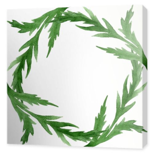Green poppy leaves isolated on white. Watercolor background illustration set. Frame ornament with copy space.