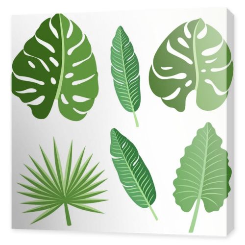 Vector tropical leaves set.