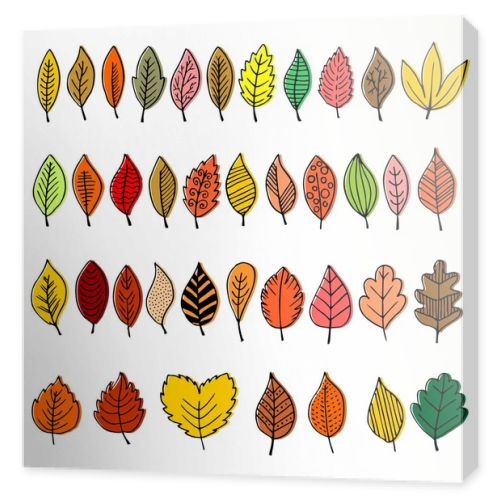 Elegant and beautiful autumn leaves and elements. Bright images for Thanksgiving Day