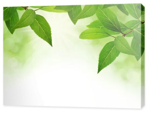 Green leaves border with copy space