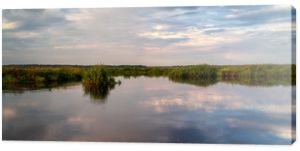 Lato nad Narwią