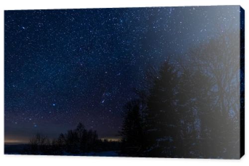 starry dark sky and trees in carpathian mountains at night in winter
