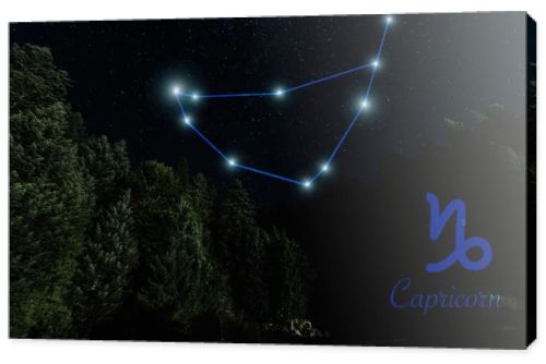 dark landscape with night starry sky and Capricorn constellation