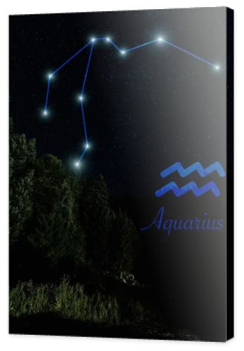 dark landscape with night starry sky and Aquarius constellation