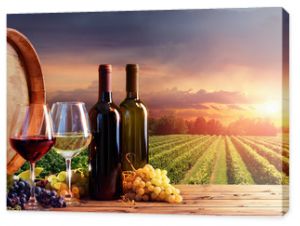 Butelki I Wineglasses Z Winogronami I Beczki W Wiejskiej Scenie