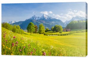 Idylliczna górska sceneria w Alpach z kwitnącymi łąkami wiosną