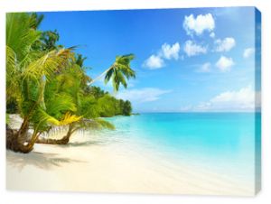 Piękna plaża z białym piaskiem turkusowym oceanem błękitne niebo z chmurami i palmą nad wodą w słoneczny dzień Malediwy idealne