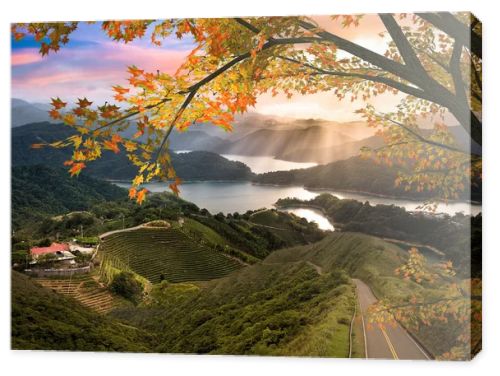 Amazing mountain with red leaf