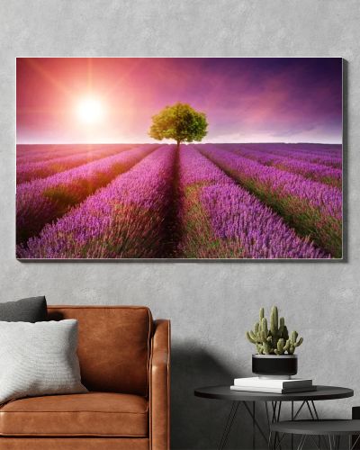 Stunning lavender field landscape Summer sunset with single tree