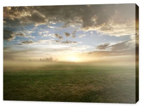 Grassy field sunset