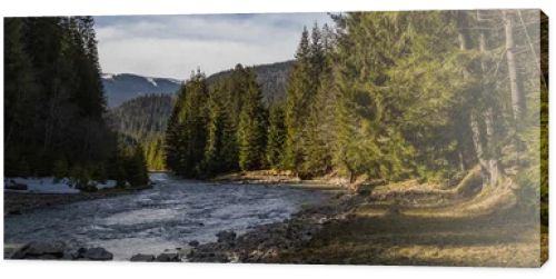 River and spruce forest with mountains at background, banner 