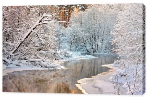 Winter landscape