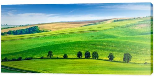 Rolling landscape of South Moravia with trees.