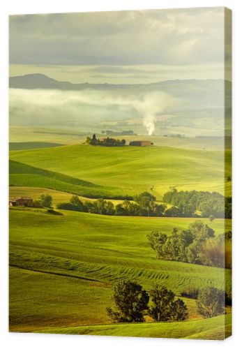 green hills in Tuscany