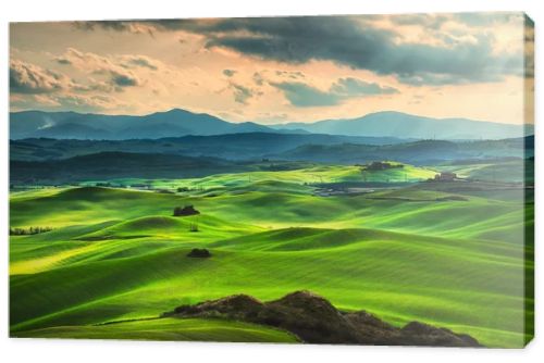 Tuscany spring, rolling hills on sunset. Rural landscape. Green 