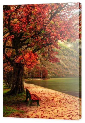 Lovely Autumn at the Sea of Kings