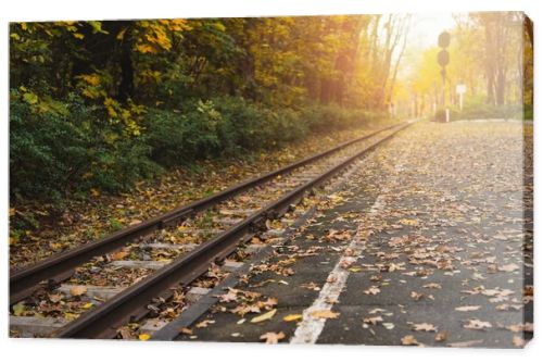 railway station in autumn forest