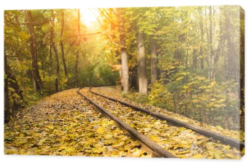 railroad in autumn forest