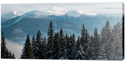 scenic view of snowy mountains with pine trees in white fluffy clouds, panoramic shot