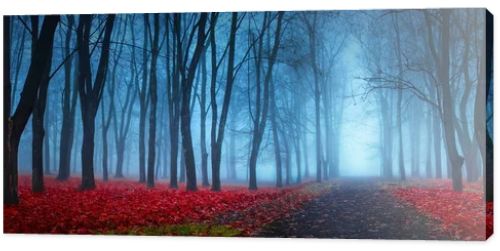 Beautiful Mystical Forest In Blue Fog In Autumn