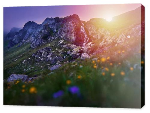 A waterfall in the mountains at sunset with a field of wild flowers in foreground