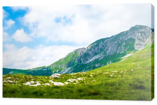 landscape of mountains and valley in Durmitor massif, Montenegro