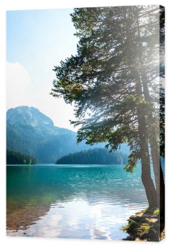 beautiful Bear mountain (meded peak), glacial Black Lake and trees on shore in Montenegro