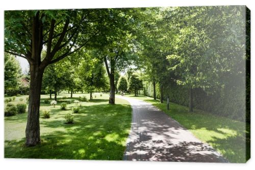 shadows on green grass with bushes and trees near path in park 