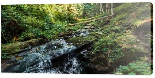 panoramic shot of flowing river near stones in woods
