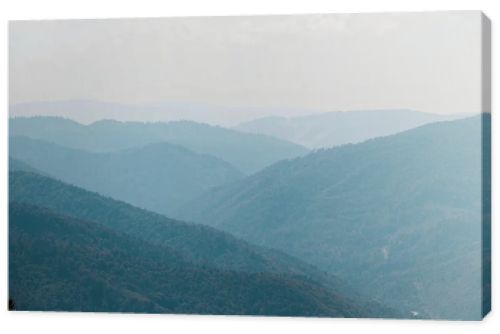 scenic mountain valley with green trees against sky 