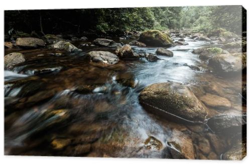 selective focus of flowing stream near wet rocks with green mold 