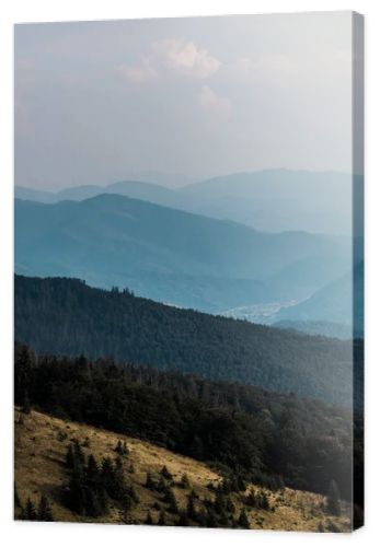 meadow in mountains with green trees against sky with clouds 