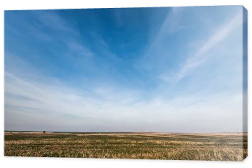 grassy lawn against blue sky with clouds