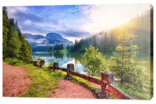 Majestic summer view of mountain lake Lacul Rosu or Red Lake or Killer Lake. Rotten tree trunks. Logs coming out of the water. Harghita County, Eastern Carpathians, Romania, Europe