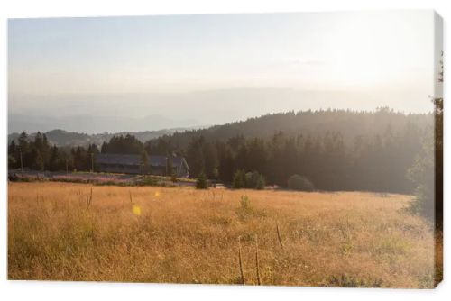 Breathtaking sunset view in a beautiful, tranquil field.