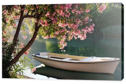 Boat on the river