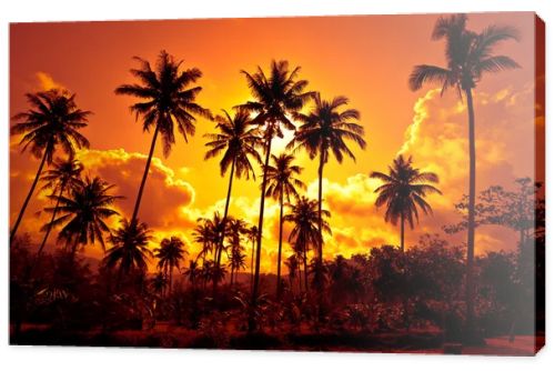 Coconut palms on sand beach in tropic