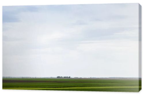 cloudy sky near green grass on field 