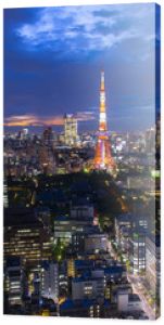 Widok z lotu ptaka na panoramę miasta Tokio, na budynki i ulicę Japonii