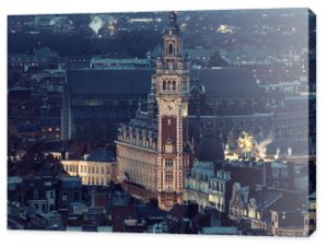 Aerial view of Lille